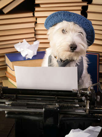 Writer Dogの写真素材