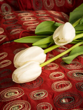 Fresh spring white tulips over red fabricの写真素材