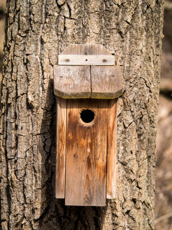 Wooden bird house on tree