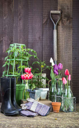 Gardening sceneの写真素材