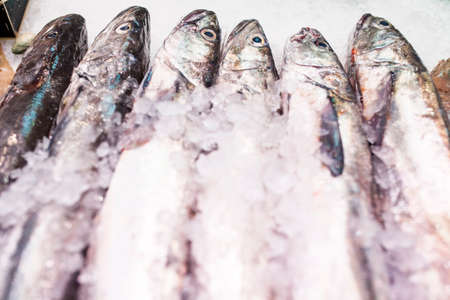 fish placed on fish shopの写真素材