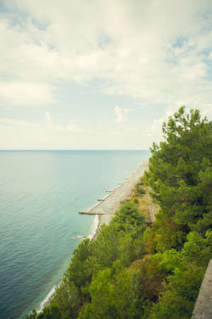 Beach. Sea. Greens. Trees. Horizon. Cloudsの写真素材
