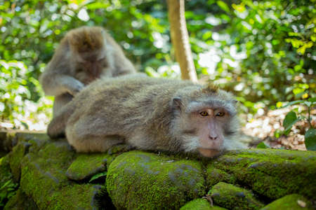 Yellow flower isolated on white backgroundの写真素材