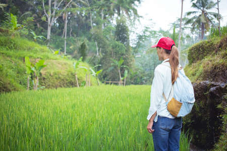 Yellow flower isolated on white backgroundの写真素材