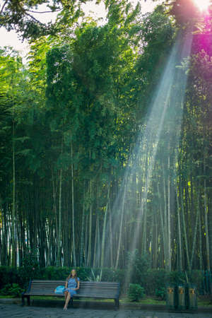 The girl sitting on the bench with the phone. In the background a bamboo grove. Batumiの写真素材
