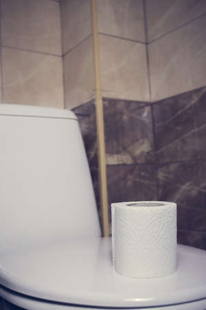 a roll of toilet paper on the background of toilet. On the edge of the bath. The tiles and the toilet in the background blur..の写真素材