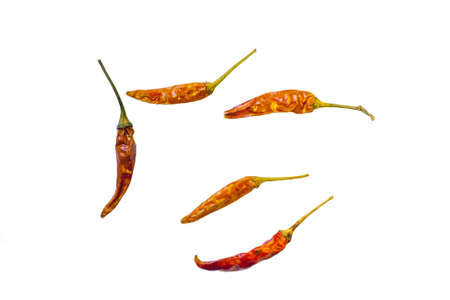 isolated red dry chili pepper.の写真素材