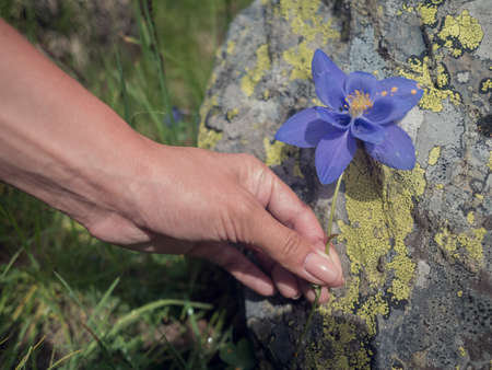 Blue Flowers in a kids handの写真素材