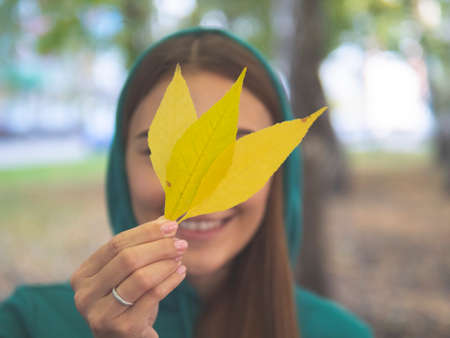 Girl holding autumn leaf in hand. yellow maple leaf in a man hand against a background of autumn...
