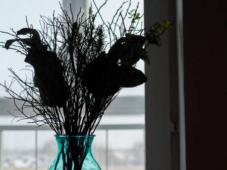 Flowering twig in contre jour.の写真素材