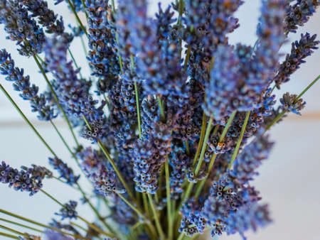 lavender branches in a glass vase against a white brick wall. home decor in a minimalist style. purpleの写真素材