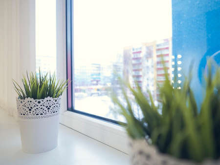 Window, sill clean Green grassの写真素材