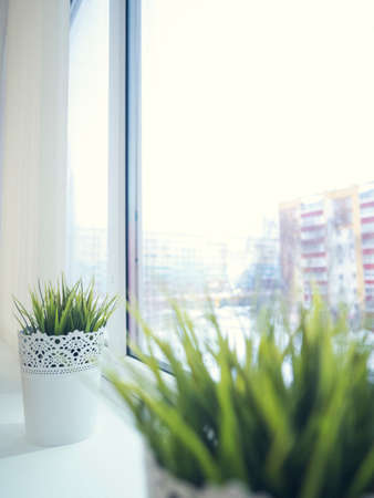 Window, sill clean Green grass