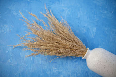 The composition consists of a white ceramic vase with a bouquet of dried spikelets, a golden photo frame with a dried flower on a blue background painted with oil paints. Stylish home decor.の写真素材