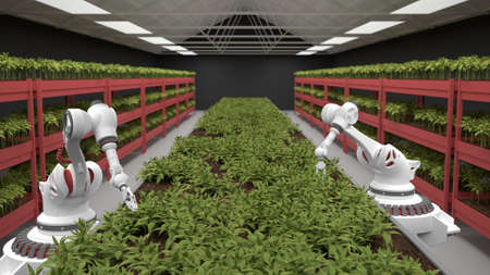 Artificial intelligence grows fresh herbs and vegetables. healthy eating.の写真素材