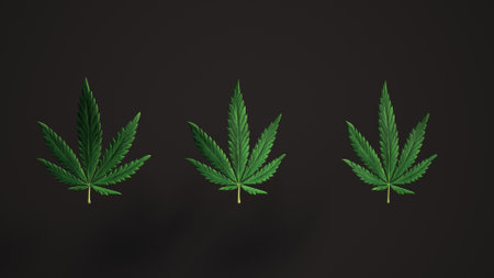 Lovely green Cannabis leaves Loop background leaf Realistic 3D Luma Matte loop Animation. marijuana, cannabis, recreational drugs. leaf pattern black backgroundの写真素材