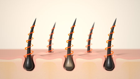 Hair care, Animation Nourish hair action of shampoo or serum. Concept Repair damaged hair. 3d renderingの写真素材