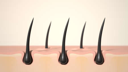 Hair care, Animation Nourish hair action of shampoo or serum. Concept Repair damaged hair. 3d renderingの写真素材