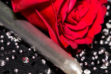 Red rose, candle and sequinsの写真素材