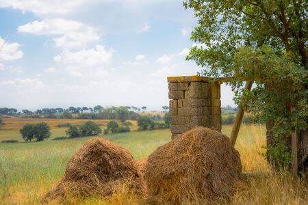 Natural Landscape.