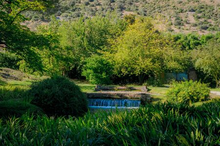 Water, plants and trees: nature in the nymph gardenの写真素材