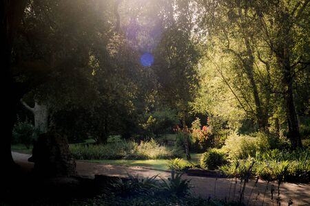 Natural landscape with trees in the nymph gardenの写真素材