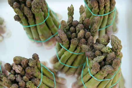 Asparagus on iceの写真素材