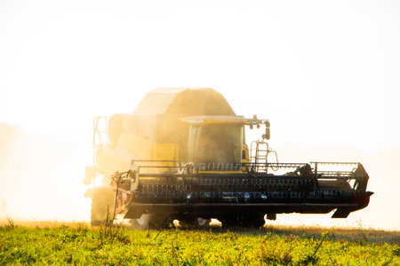 Combine harvester working on the large wheat field at sunset