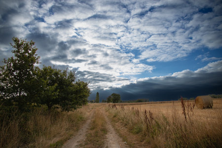 Country road through the fields and meadows under the stormy skyの写真素材
