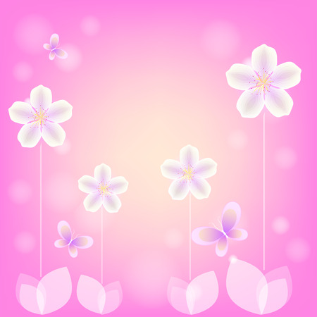 White flowers and butterflies on a pink backgroundのイラスト素材