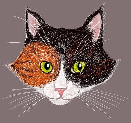 Cat portrait のイラスト素材