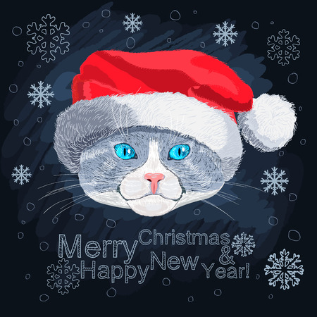 Portrait of blue-eyed cat in the hat of Santa Claus  Illustrationのイラスト素材
