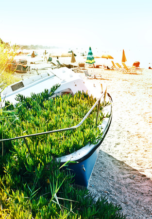 Boat grassy lies on the seashoreの写真素材