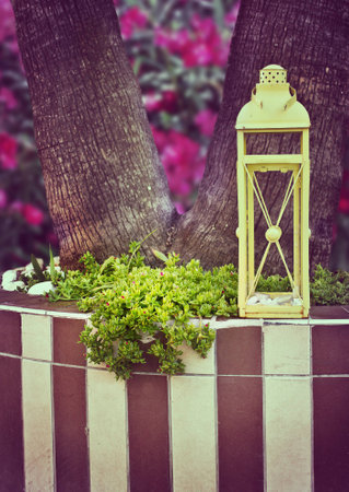Decorative lantern on the background of a flowering tree. Original flowerbedの写真素材