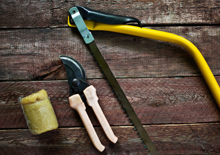 Set of garden tools. Pruning in the garden. Frame of garden toolsの写真素材