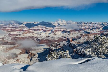 Grand Canyon in winter, viewed from the South Rim. Snow covers the canyon walls. Clouds clinging to the canyon, and overhead in the blue sky. Edge of the rim  and bushes covered with snow.の写真素材