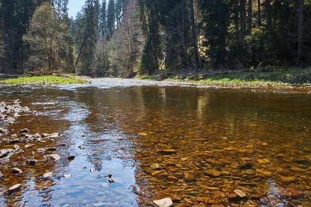 hiking in the river wutach canyon in the black forest in germany