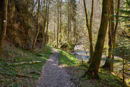 hiking in the river gauchach canyon in the black forest in germany