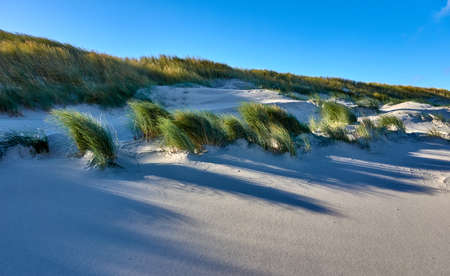 island of wangerooge in the north sea in germanyの写真素材