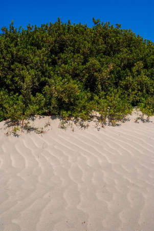 Another view of elafonisi beachCrteGreeceの写真素材