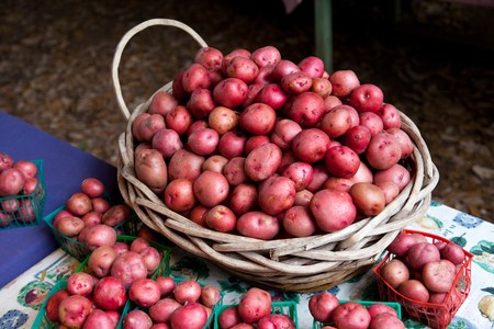 Delicious organic red potatoes sit in a basket at a small independent farmer's market.の写真素材
