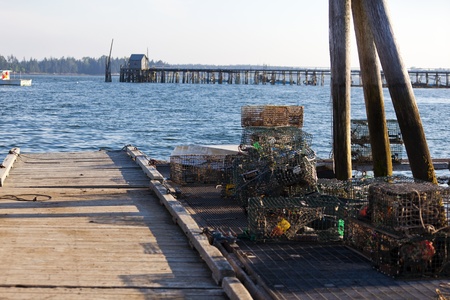 Lobster traps haphazardly stored on a dock at low tide.の写真素材