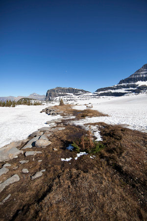 Thawing snowfield near the continental divide in Glacier National Park in June 2012 