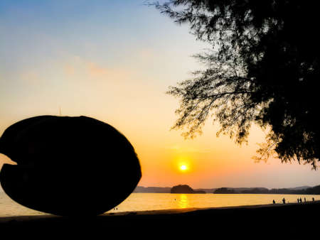 Coconut in sunset time at the beach,Krabi.の写真素材