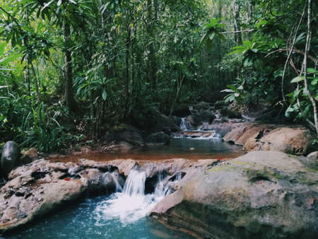 Amazing the stream in rain forest.の写真素材