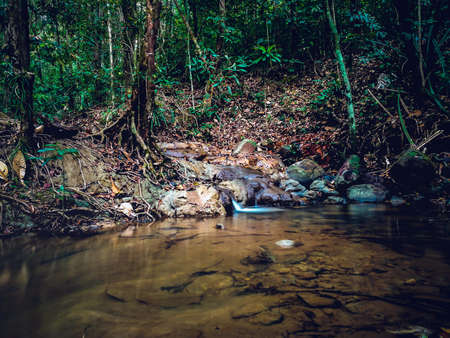 Upstream in the forest.の写真素材