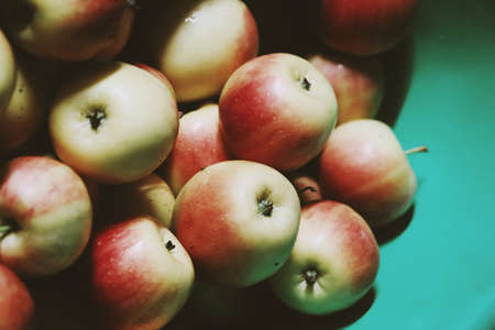 Many apples are stacked in the warehouse.の写真素材