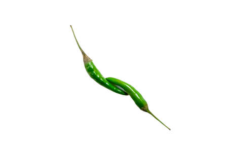 Green chilli isolated on white backgroundの写真素材