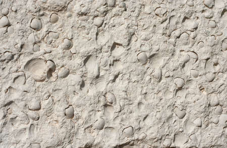 sea rock texture