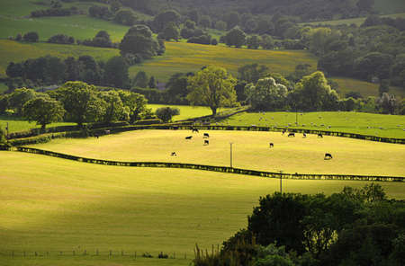 Landscapeの写真素材